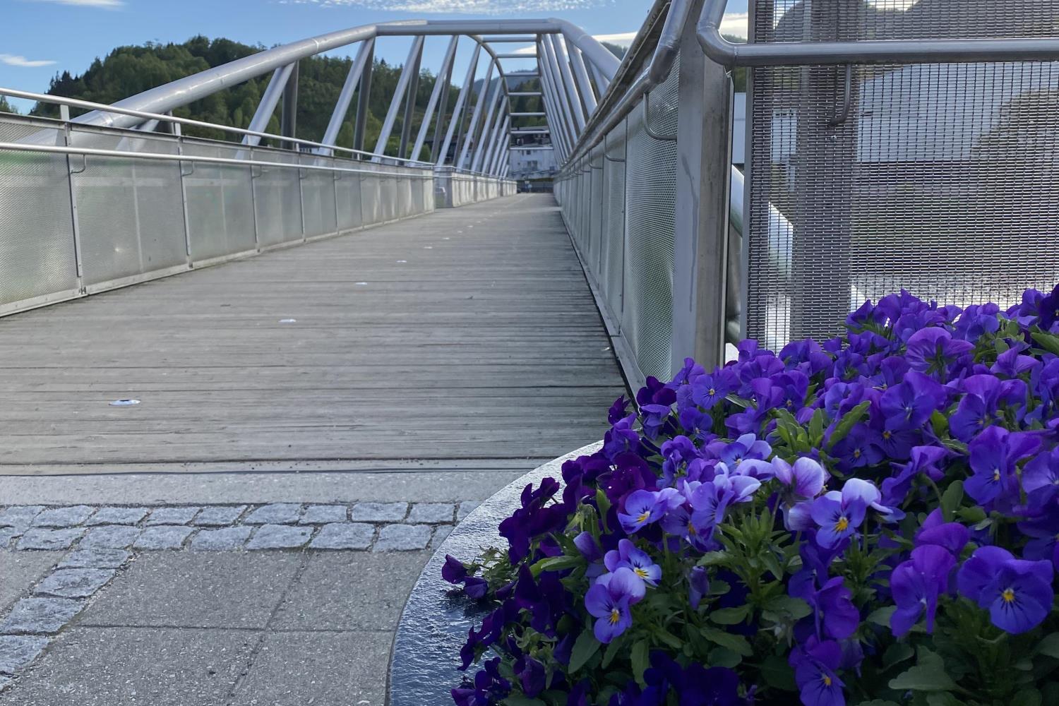 Nesbrua med blomsterkrukke